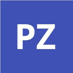 P Z avatar